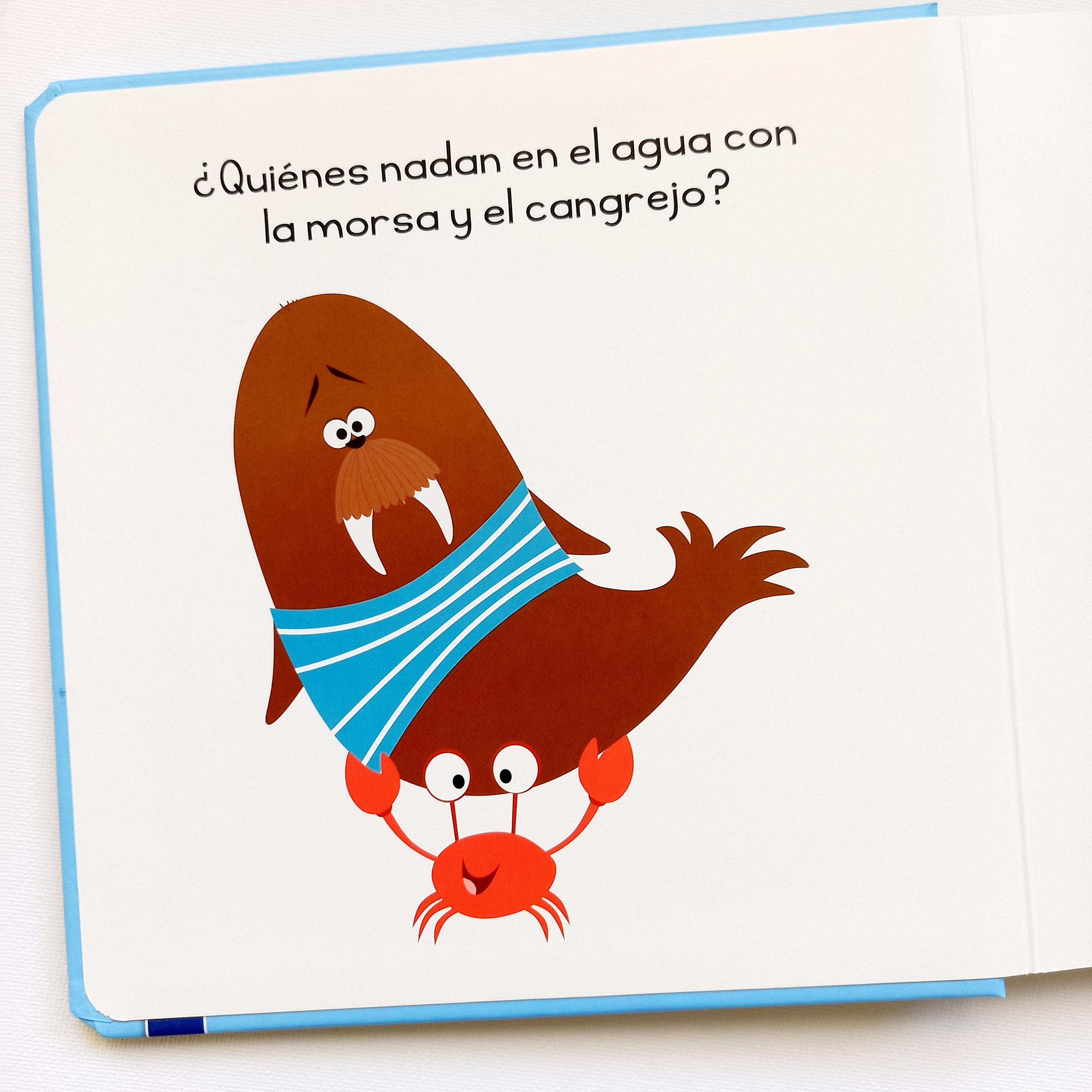 Animales - Gira y descubre Animales - Gira y descubre